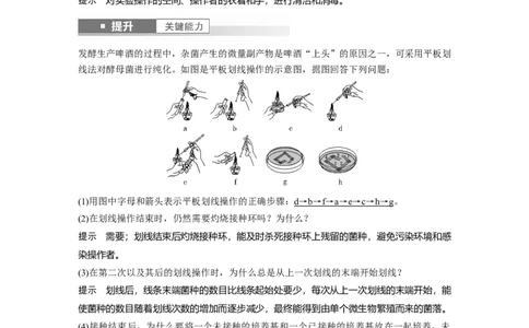第十单元　第57课时　微生物的培养技术与应用_新高考复习资料_2025年新高考资料_2025新高考一轮复习生物_2025大一轮复习讲义生物人教版教师用书Word版文档整书