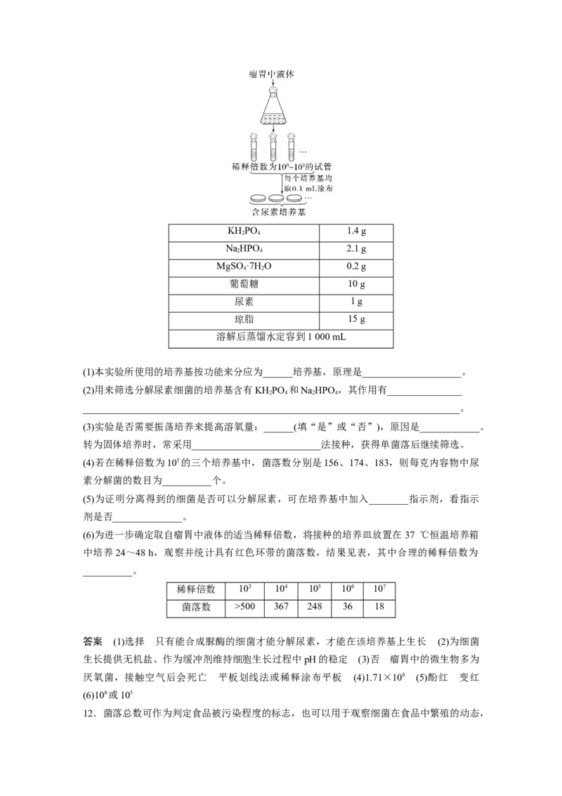 第十单元　第57课时　微生物的培养技术与应用_新高考复习资料_2025年新高考资料_2025新高考一轮复习生物_2025大一轮复习讲义生物人教版教师用书Word版文档整书