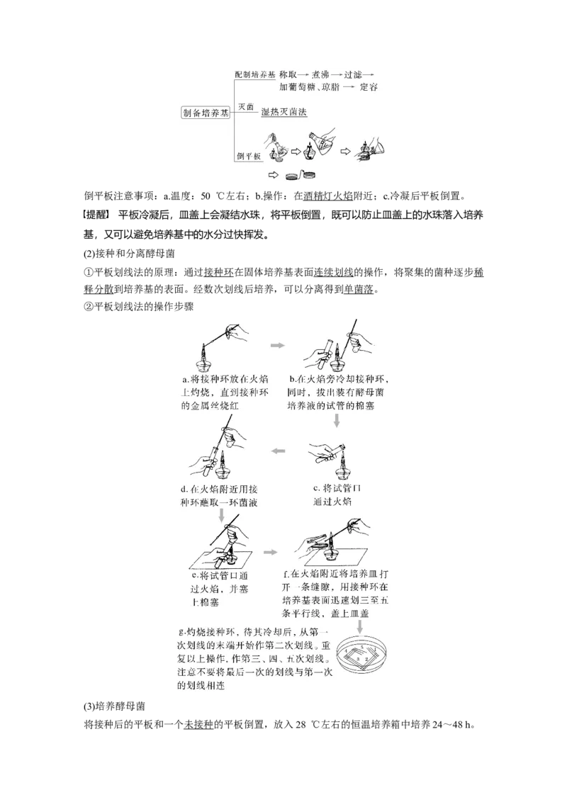 第十单元　第57课时　微生物的培养技术与应用_新高考复习资料_2025年新高考资料_2025新高考一轮复习生物_2025大一轮复习讲义生物人教版教师用书Word版文档整书