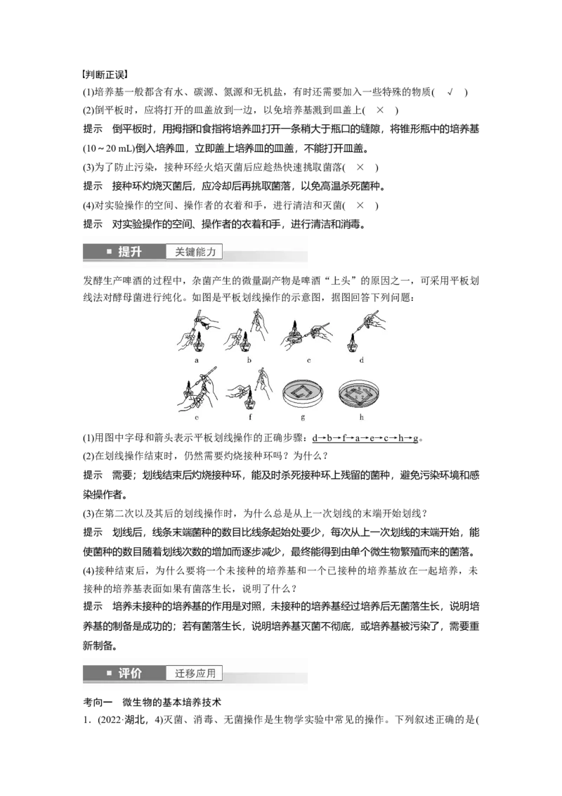 第十单元　第57课时　微生物的培养技术与应用_新高考复习资料_2025年新高考资料_2025新高考一轮复习生物_2025大一轮复习讲义生物人教版教师用书Word版文档整书