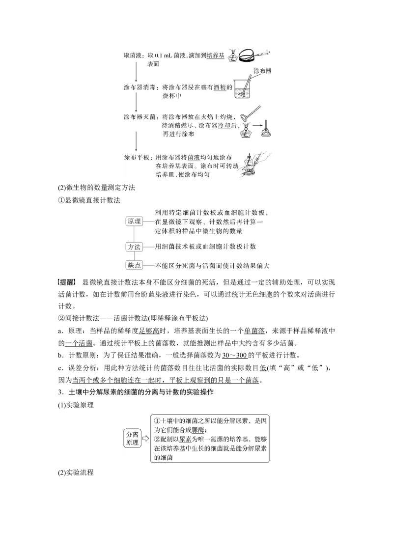 第十单元　第57课时　微生物的培养技术与应用_新高考复习资料_2025年新高考资料_2025新高考一轮复习生物_2025大一轮复习讲义生物人教版教师用书Word版文档整书
