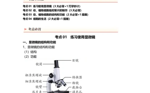 专题02细胞是生命活动的基本单位（背记帮）-备战2024年中考生物一轮复习考点帮_6生物中考复习_2024年中考复习资料_一轮复习资料_❤备战2024年中考生物一轮复习考点帮（全国通用）
