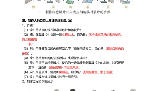 专题02细胞是生命活动的基本单位（背记帮）-备战2024年中考生物一轮复习考点帮_6生物中考复习_2024年中考复习资料_一轮复习资料_❤备战2024年中考生物一轮复习考点帮（全国通用）