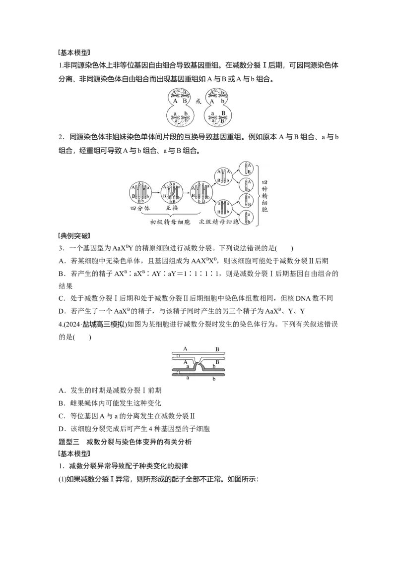 第四单元　专题突破4　减数分裂与可遗传变异的关系_2025年新高考资料_一轮复习_2025大一轮复习讲义+课件（完结）_2025大一轮复习讲义生物学生用书Word版文档整书_2025大一轮复习讲义