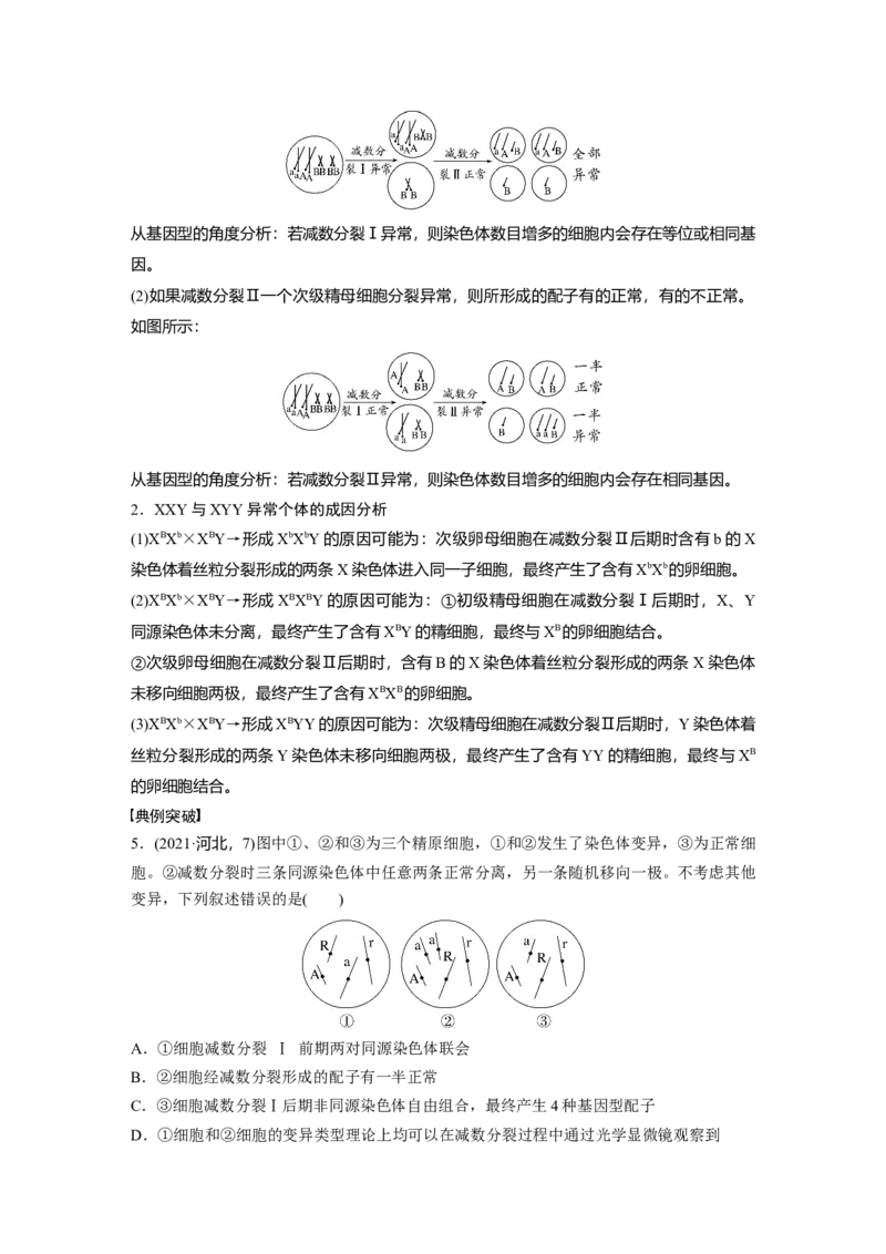 第四单元　专题突破4　减数分裂与可遗传变异的关系_2025年新高考资料_一轮复习_2025大一轮复习讲义+课件（完结）_2025大一轮复习讲义生物学生用书Word版文档整书_2025大一轮复习讲义