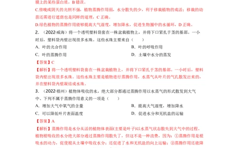 专题03生物圈中的绿色植物（二）背诵清单+跟踪训练（教师版）_6生物中考复习_2023年中考复习资料_一轮复习_2023年中考生物一轮大单元复习过过过（全国通用）