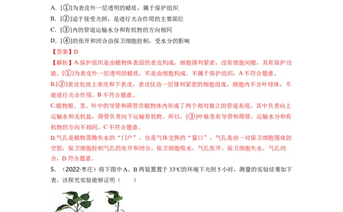 专题03生物圈中的绿色植物（二）背诵清单+跟踪训练（教师版）_6生物中考复习_2023年中考复习资料_一轮复习_2023年中考生物一轮大单元复习过过过（全国通用）