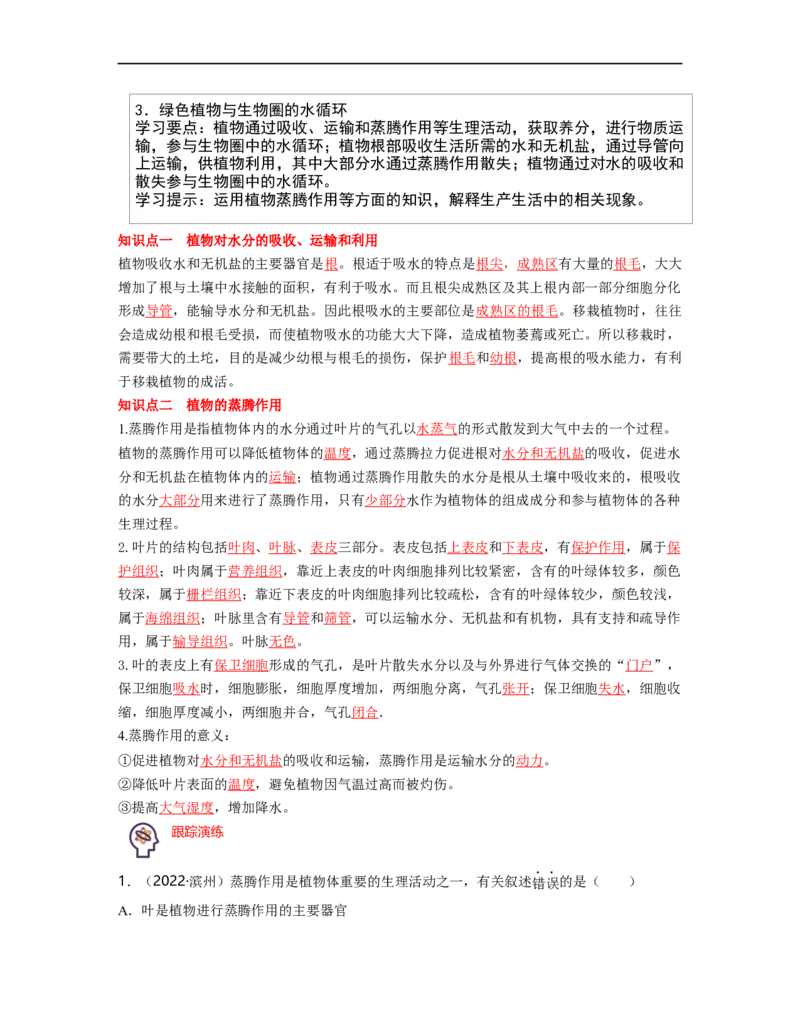 专题03生物圈中的绿色植物（二）背诵清单+跟踪训练（教师版）_6生物中考复习_2023年中考复习资料_一轮复习_2023年中考生物一轮大单元复习过过过（全国通用）