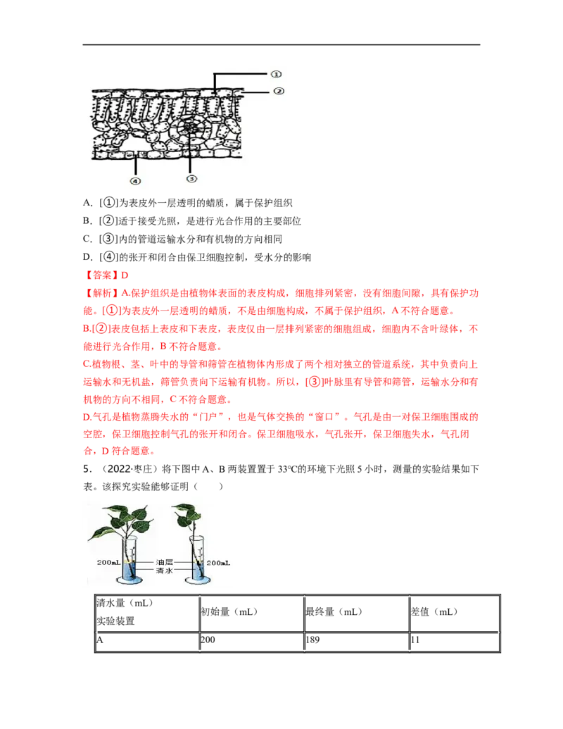 专题03生物圈中的绿色植物（二）背诵清单+跟踪训练（教师版）_6生物中考复习_2023年中考复习资料_一轮复习_2023年中考生物一轮大单元复习过过过（全国通用）
