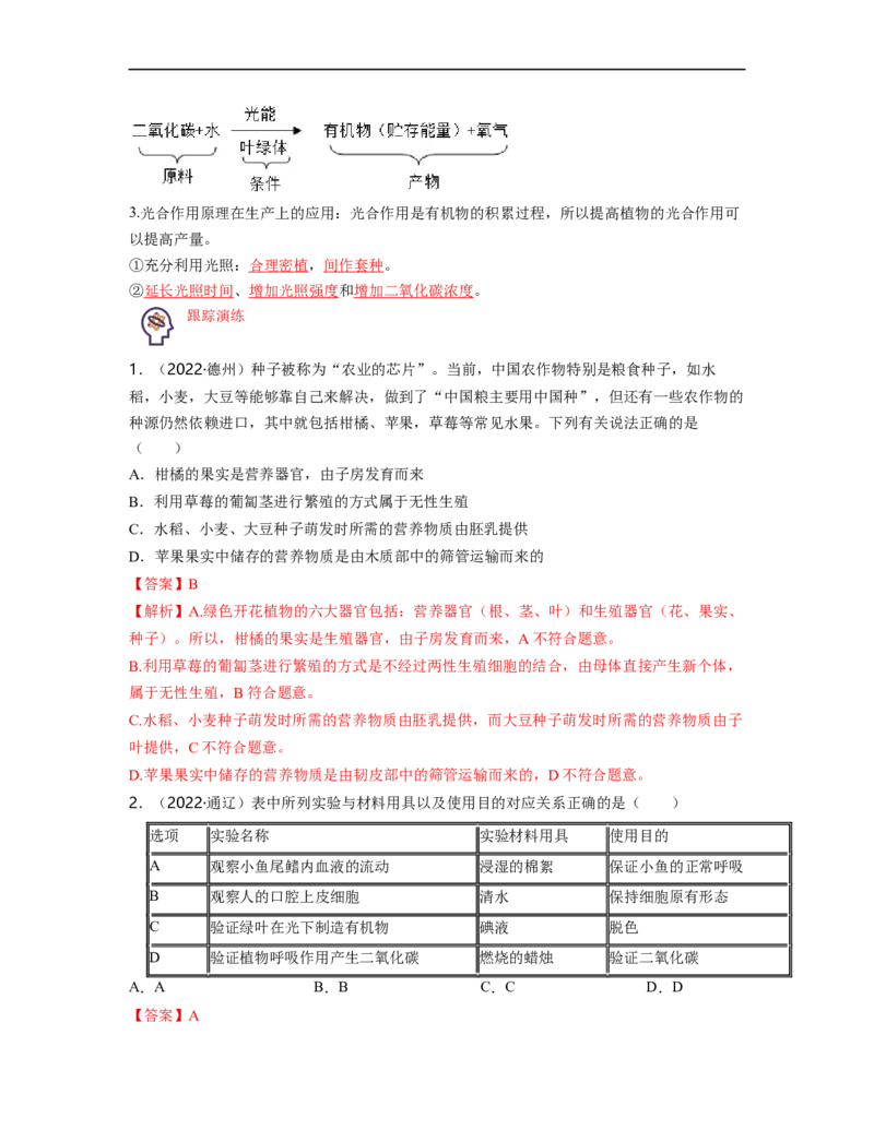 专题03生物圈中的绿色植物（二）背诵清单+跟踪训练（教师版）_6生物中考复习_2023年中考复习资料_一轮复习_2023年中考生物一轮大单元复习过过过（全国通用）