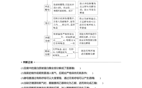 第十单元　第56课时　传统发酵技术的应用、发酵工程及其应用_2025年新高考资料_一轮复习_2025大一轮复习讲义+课件（完结）_2025大一轮复习讲义生物学生用书Word版文档整书