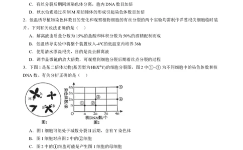 第四单元细胞的生命历程（测试）（原卷版）_2025年新高考资料_一轮复习_2025年高考生物一轮复习讲练测（新教材新高考）