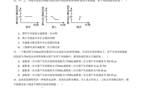 第四单元细胞的生命历程（测试）（原卷版）_2025年新高考资料_一轮复习_2025年高考生物一轮复习讲练测（新教材新高考）