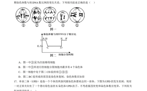 第四单元细胞的生命历程（测试）（原卷版）_2025年新高考资料_一轮复习_2025年高考生物一轮复习讲练测（新教材新高考）
