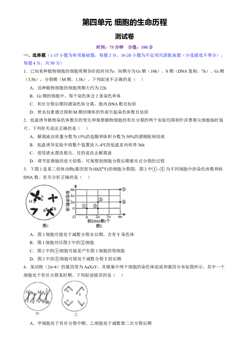 第四单元细胞的生命历程（测试）（原卷版）_2025年新高考资料_一轮复习_2025年高考生物一轮复习讲练测（新教材新高考）