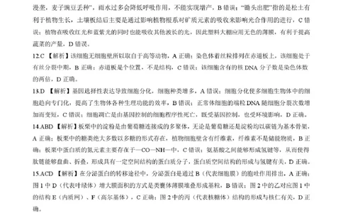 答案202601高一期末（生物）_2026年02月高一试卷_260206河北省邯郸市魏县NT20考试2025-2026学年高一上学期1月月考