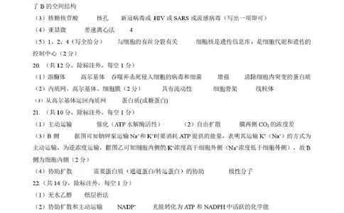 答案202601高一期末（生物）_2026年02月高一试卷_260206河北省邯郸市魏县NT20考试2025-2026学年高一上学期1月月考