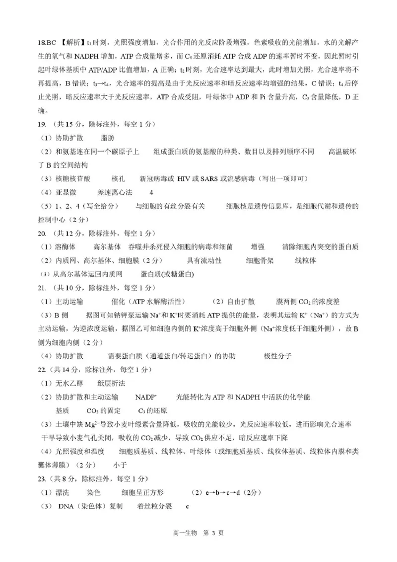 答案202601高一期末（生物）_2026年02月高一试卷_260206河北省邯郸市魏县NT20考试2025-2026学年高一上学期1月月考