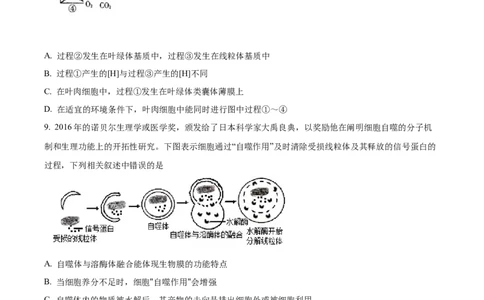 精品解析：2024届湖北省新高考全国Ⅰ卷模拟-生物试题（原卷版）_生物高考模拟题_新高考_2024年_精品解析：2024届湖北省新高考全国Ⅰ卷模拟-生物试题