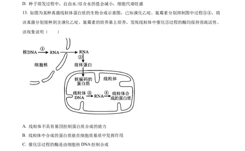 精品解析：2024届湖北省新高考全国Ⅰ卷模拟-生物试题（原卷版）_生物高考模拟题_新高考_2024年_精品解析：2024届湖北省新高考全国Ⅰ卷模拟-生物试题