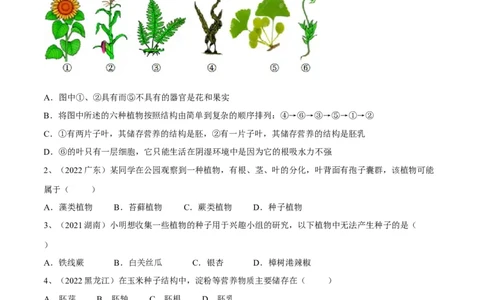 专题04生物圈中有哪些绿色植物（原卷版）_6生物中考复习_2023年中考复习资料_一轮复习_2023年中考生物一轮复习讲练测