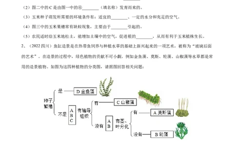 专题04生物圈中有哪些绿色植物（原卷版）_6生物中考复习_2023年中考复习资料_一轮复习_2023年中考生物一轮复习讲练测