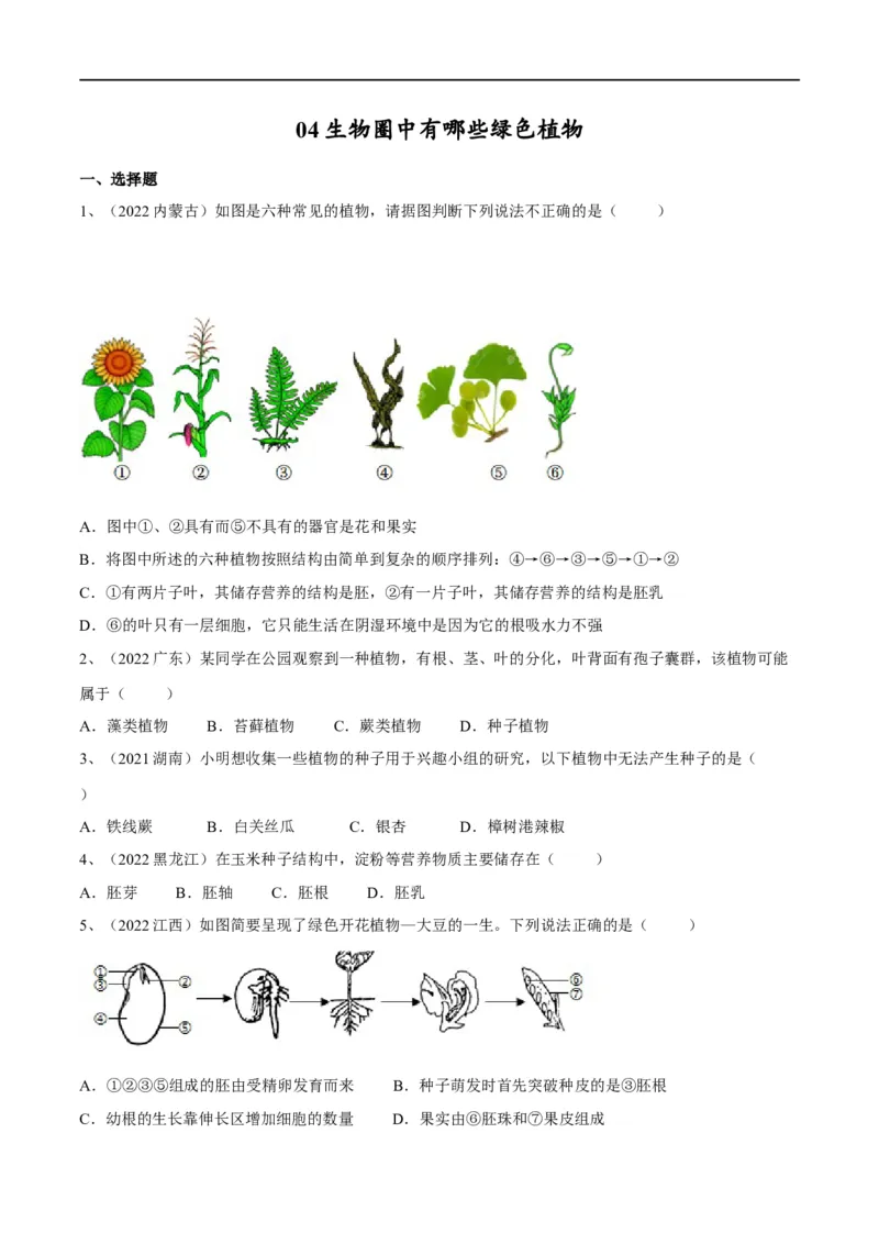 专题04生物圈中有哪些绿色植物（原卷版）_6生物中考复习_2023年中考复习资料_一轮复习_2023年中考生物一轮复习讲练测