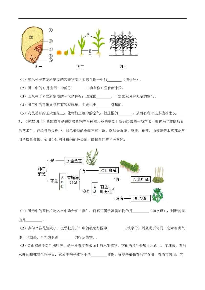 专题04生物圈中有哪些绿色植物（原卷版）_6生物中考复习_2023年中考复习资料_一轮复习_2023年中考生物一轮复习讲练测