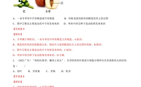 专题05被子植物的一生（解析版）_6生物中考复习_2023年中考复习资料_一轮复习_2023年中考生物一轮复习讲练测_专题05被子植物的一生（专题精练）-2023年中考生物一轮复习讲练测
