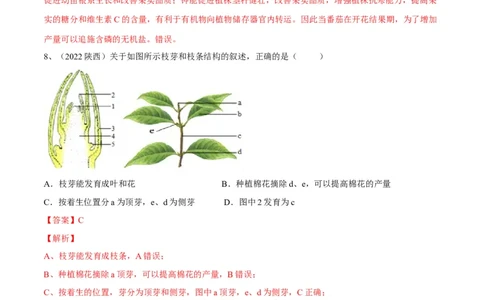 专题05被子植物的一生（解析版）_6生物中考复习_2023年中考复习资料_一轮复习_2023年中考生物一轮复习讲练测_专题05被子植物的一生（专题精练）-2023年中考生物一轮复习讲练测