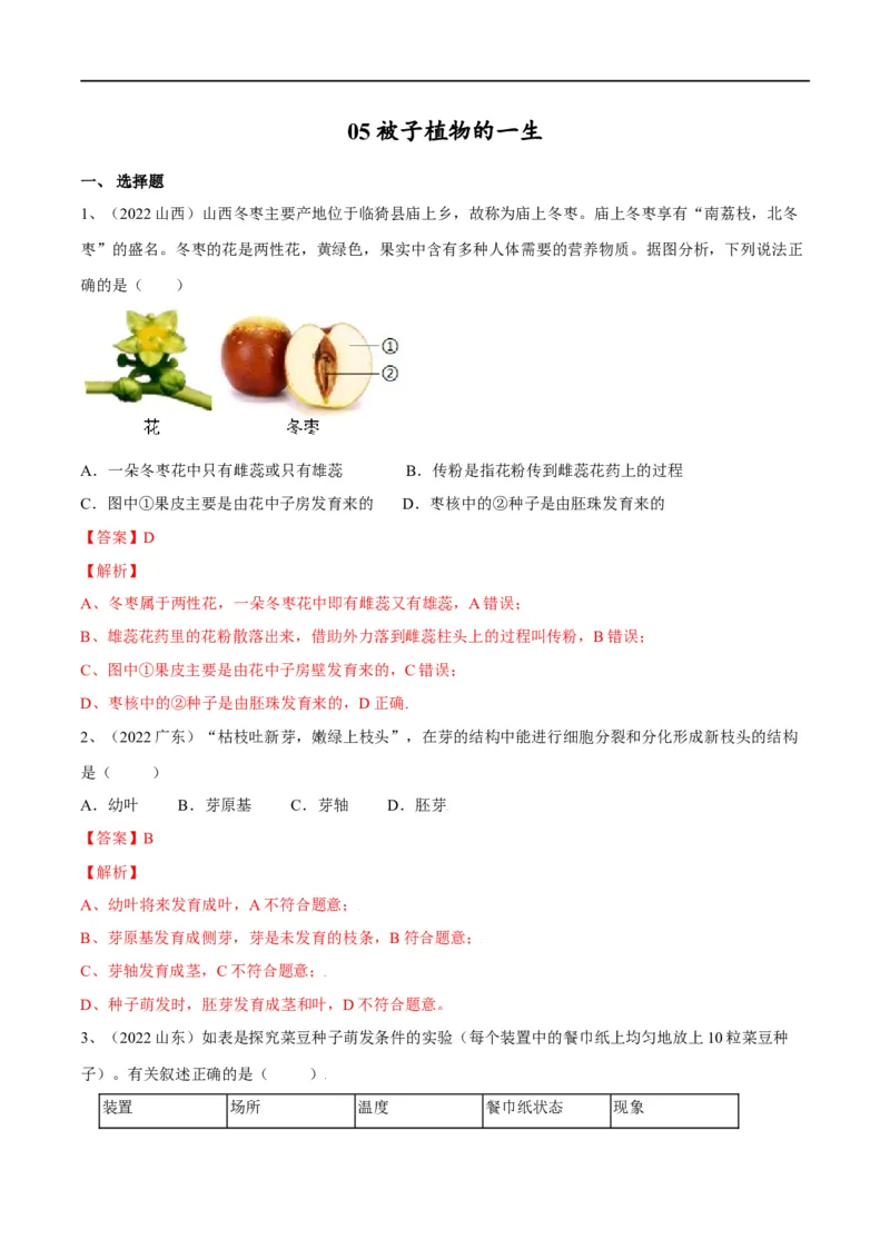 专题05被子植物的一生（解析版）_6生物中考复习_2023年中考复习资料_一轮复习_2023年中考生物一轮复习讲练测_专题05被子植物的一生（专题精练）-2023年中考生物一轮复习讲练测