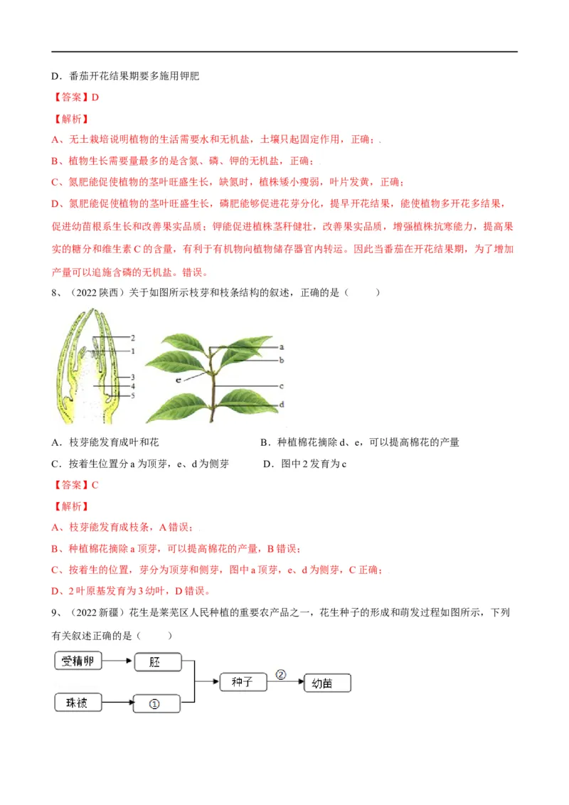 专题05被子植物的一生（解析版）_6生物中考复习_2023年中考复习资料_一轮复习_2023年中考生物一轮复习讲练测_专题05被子植物的一生（专题精练）-2023年中考生物一轮复习讲练测
