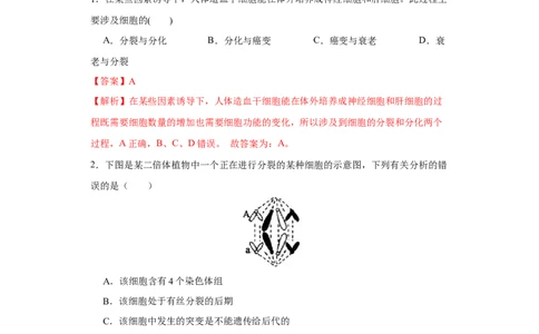 第四单元有丝分裂及减数分裂详解（A卷新题基础练）-2022年高考生物一轮复习单元滚动双测卷（解析版）_新高考复习资料_2023年新高考复习资料_一轮复习