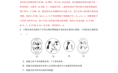 第四单元有丝分裂及减数分裂详解（A卷新题基础练）-2022年高考生物一轮复习单元滚动双测卷（解析版）_新高考复习资料_2023年新高考复习资料_一轮复习