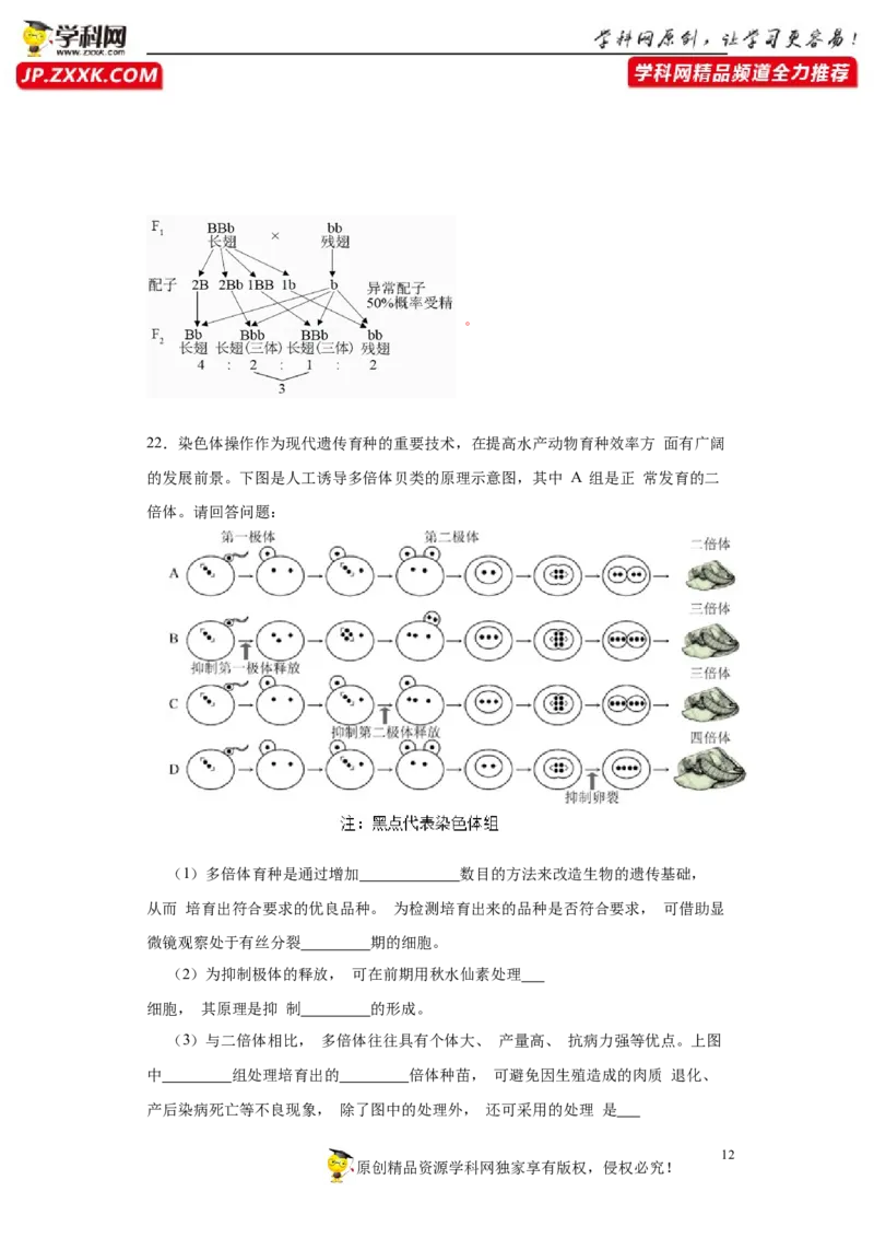 第四单元有丝分裂及减数分裂详解（A卷新题基础练）-2022年高考生物一轮复习单元滚动双测卷（解析版）_新高考复习资料_2023年新高考复习资料_一轮复习