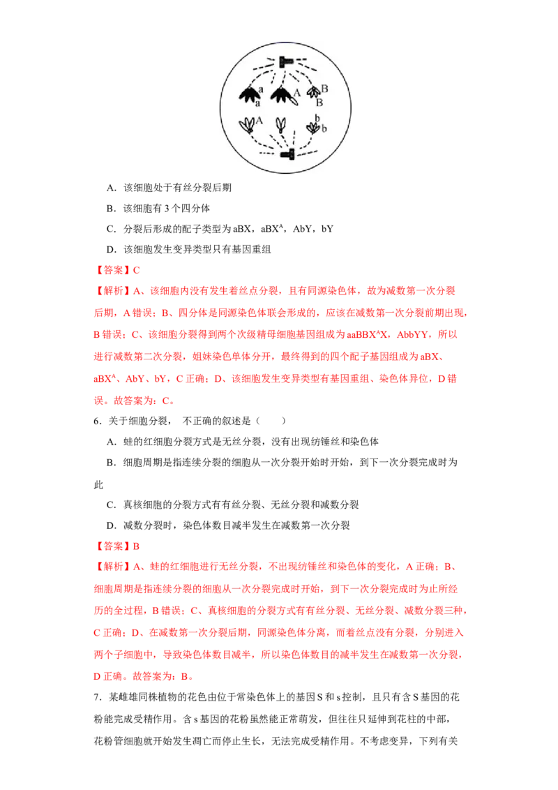 第四单元有丝分裂及减数分裂详解（A卷新题基础练）-2022年高考生物一轮复习单元滚动双测卷（解析版）_新高考复习资料_2023年新高考复习资料_一轮复习