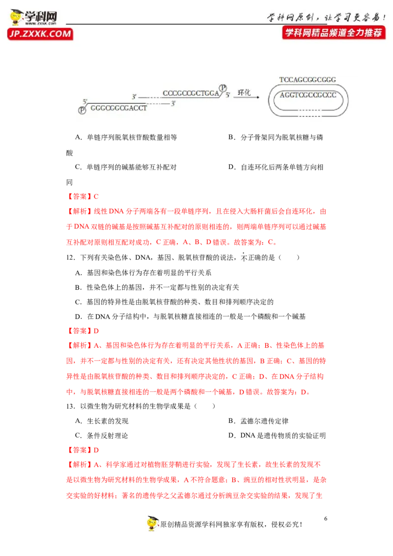 第四单元有丝分裂及减数分裂详解（A卷新题基础练）-2022年高考生物一轮复习单元滚动双测卷（解析版）_新高考复习资料_2023年新高考复习资料_一轮复习