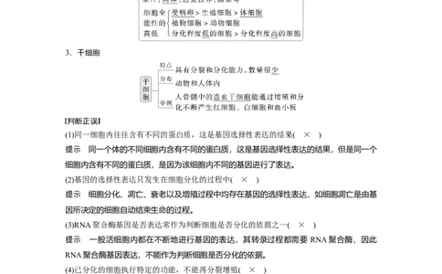 第四单元　第23课时　细胞的分化、衰老和死亡_2025年新高考资料_一轮复习_2025大一轮复习讲义+课件（完结）_2025大一轮复习讲义生物教师用书Word版文档整书