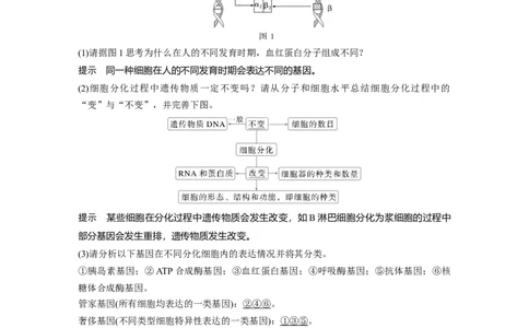 第四单元　第23课时　细胞的分化、衰老和死亡_2025年新高考资料_一轮复习_2025大一轮复习讲义+课件（完结）_2025大一轮复习讲义生物教师用书Word版文档整书