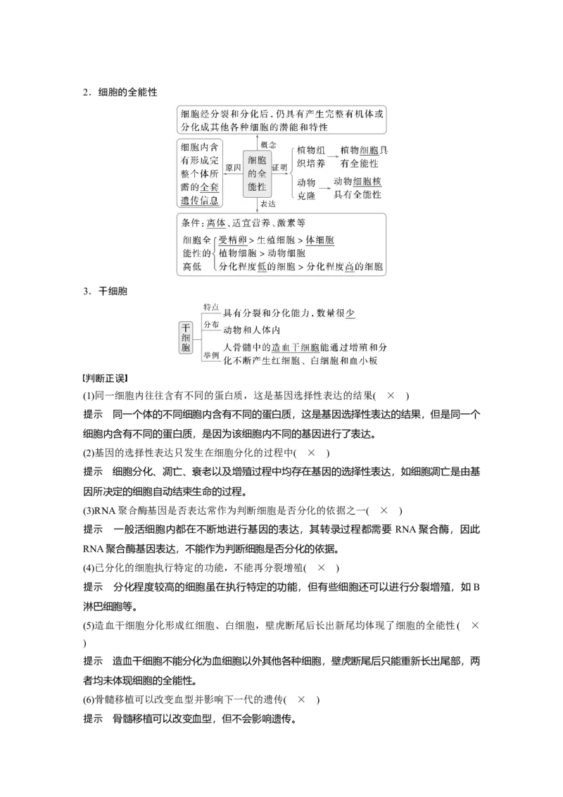 第四单元　第23课时　细胞的分化、衰老和死亡_2025年新高考资料_一轮复习_2025大一轮复习讲义+课件（完结）_2025大一轮复习讲义生物教师用书Word版文档整书