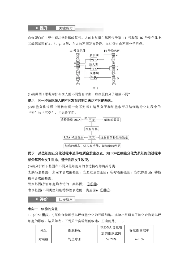 第四单元　第23课时　细胞的分化、衰老和死亡_2025年新高考资料_一轮复习_2025大一轮复习讲义+课件（完结）_2025大一轮复习讲义生物教师用书Word版文档整书