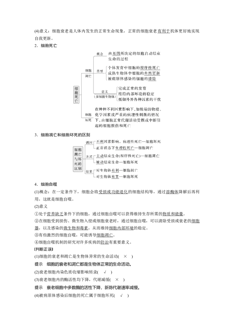 第四单元　第23课时　细胞的分化、衰老和死亡_2025年新高考资料_一轮复习_2025大一轮复习讲义+课件（完结）_2025大一轮复习讲义生物教师用书Word版文档整书