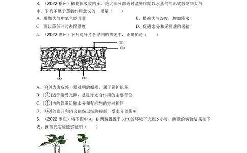 专题03生物圈中的绿色植物（二）背诵清单+跟踪训练（学生版）_6生物中考复习_2023年中考复习资料_一轮复习_2023年中考生物一轮大单元复习过过过（全国通用）