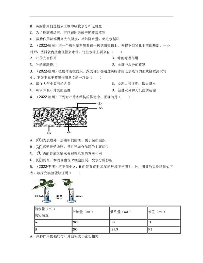 专题03生物圈中的绿色植物（二）背诵清单+跟踪训练（学生版）_6生物中考复习_2023年中考复习资料_一轮复习_2023年中考生物一轮大单元复习过过过（全国通用）