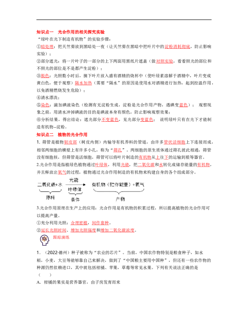 专题03生物圈中的绿色植物（二）背诵清单+跟踪训练（学生版）_6生物中考复习_2023年中考复习资料_一轮复习_2023年中考生物一轮大单元复习过过过（全国通用）