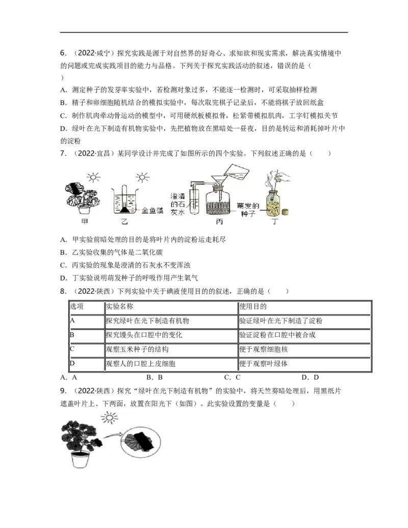 专题03生物圈中的绿色植物（二）背诵清单+跟踪训练（学生版）_6生物中考复习_2023年中考复习资料_一轮复习_2023年中考生物一轮大单元复习过过过（全国通用）