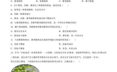 专题04生物圈中有哪些绿色植物（习题精练）（原卷版）_6生物中考复习_2024年中考复习资料_一轮复习资料_省心备考2024年中考生物一轮复习精讲精练（全国通用）