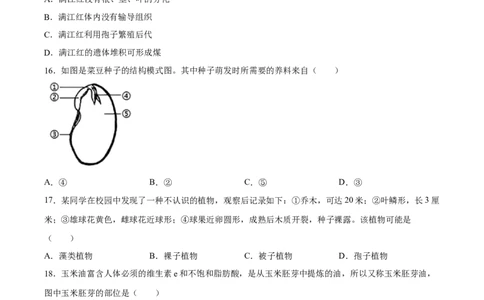 专题04生物圈中有哪些绿色植物（习题精练）（原卷版）_6生物中考复习_2024年中考复习资料_一轮复习资料_省心备考2024年中考生物一轮复习精讲精练（全国通用）