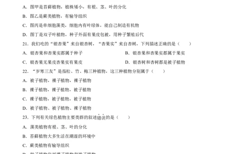 专题04生物圈中有哪些绿色植物（习题精练）（原卷版）_6生物中考复习_2024年中考复习资料_一轮复习资料_省心备考2024年中考生物一轮复习精讲精练（全国通用）