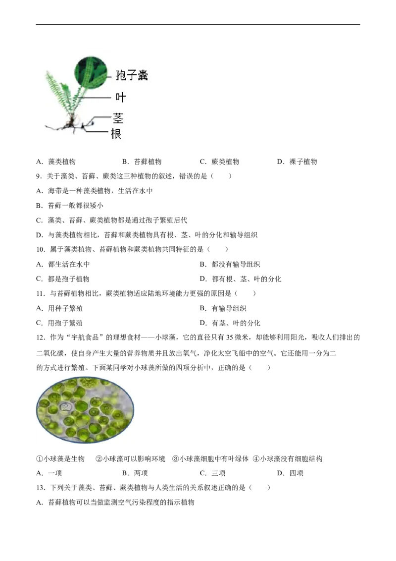 专题04生物圈中有哪些绿色植物（习题精练）（原卷版）_6生物中考复习_2024年中考复习资料_一轮复习资料_省心备考2024年中考生物一轮复习精讲精练（全国通用）